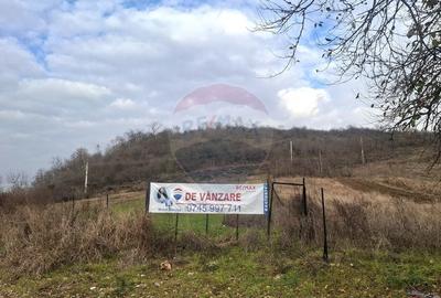 Teren intravilan de 2,100mp in Sichevita / DN 57 - 6