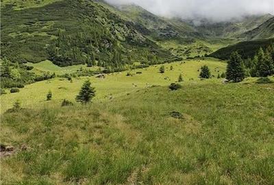 SUPER OPORTUNITATE, DE VANZARE O PROPRIETATE SPECIALA, MUNTELE VARFUL GROAPELE , - 15