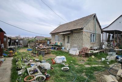 Spațiu comercial, în Biharia - 7