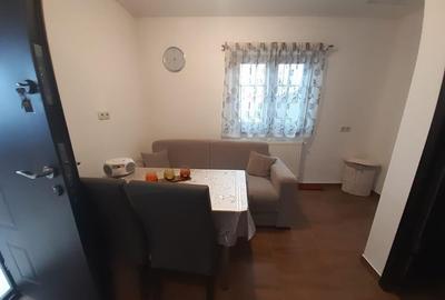 Baia Sprie, casa caramida, 9,4 ari teren - 13