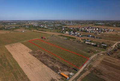 Teren Construcții intravilan de 6525 mp, în Adunații-Copăceni - 9