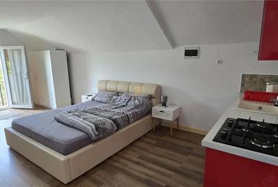 Casă cu 8 camere cu Teren 1845 Mp în Dorna-Arini - 13