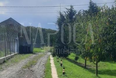 Casa 4 camere de vanzare in Salicea - 6