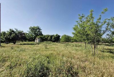 Teren de 2400 mp, în Dâlga - 3