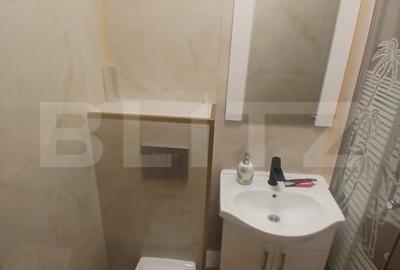 Garsoniera de vanzare, 16 mp, mobilata in stil modern, zona Nicolina - 12