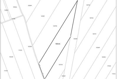 Teren de 40319 mp, în Orțișoara - 3
