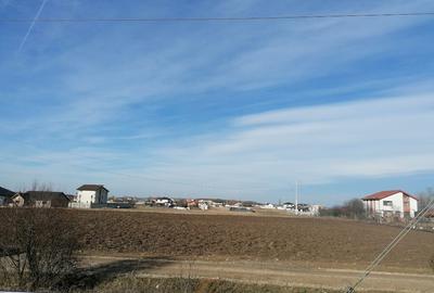 Loturi de teren de 500 m patrati - 3