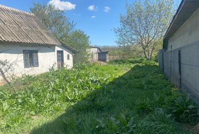 De vanzare teren Ciolpani intravilan / schimb cu apartament in Bucuresti - 4