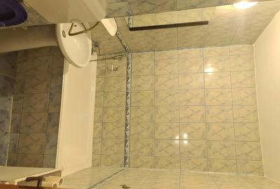 Garsonieră decomandată în Dristor - 1