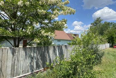 Casă cu Teren 1030 Mp în Ograda - 4