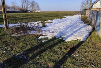 Spațiu comercial, în Bițina-Ungureni - 4