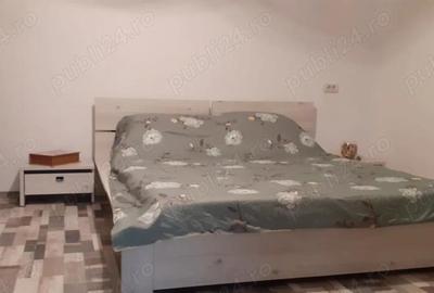 COICIU-Casa cocheta renovata 165000 euro! - 10