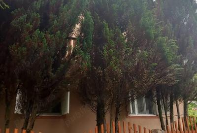 Casa de vanzare in Poiana Marului Cara?-Severin - 4