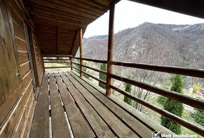 Oportunitate unica! 5ha + 2 cabane de vacanta in Valea Ierii - 15