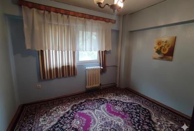 Apartament cu 4 camere decomandat în Parcul Circului - 11