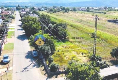 TEREN intravilan  comuna SAVINESTI - 5