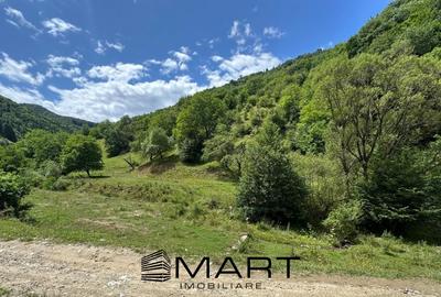 Teren intravilan 8500mp Rasinari - 1