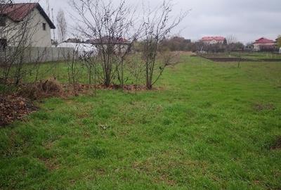 Teren Construcții intravilan de 1000 mp, în Cornetu - 3