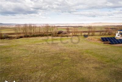 Teren de 950 mp, în Saca - 7