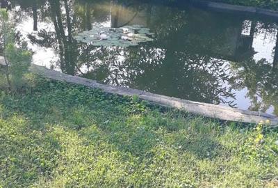 Casă cu 4 camere în Albota - 1