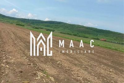 Teren de 10000 mp, în Central