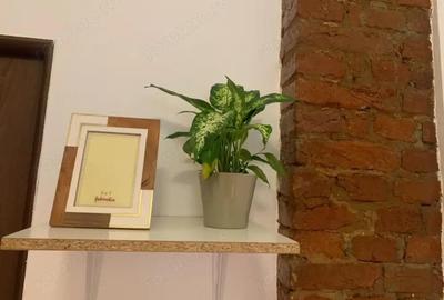 Garsonieră în Central