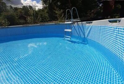 Casă cu 7 camere cu Teren 3035 Mp în Polovragi - 11