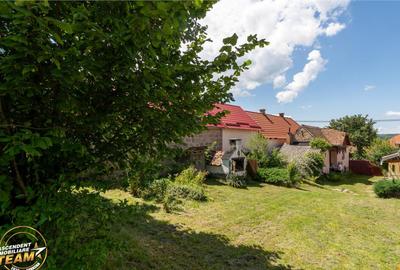 FILM!Doua case traditionale,pe domeniu cu peste 5.000mp tere - 11