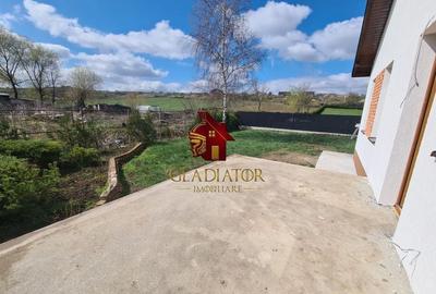 Casa plan parter deosebita, Lunca Cetatuii Ciurea, la asfalt, zona vis - 14