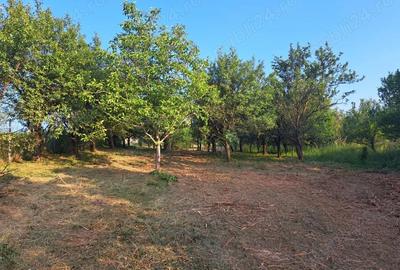 Casă cu 3 camere în Aghireș - 6