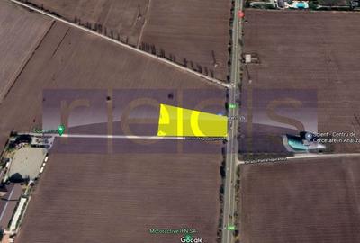 Teren Construcții intravilan de 5000 mp, în Tâncăbești - 6