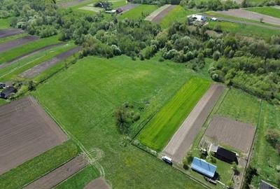 Teren de 28000 mp, în Horodnic - 5