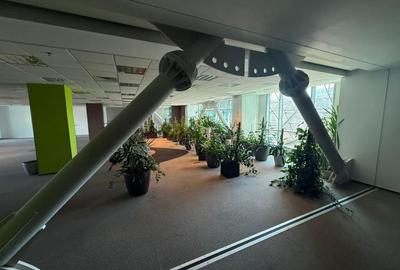 Birou, de 1,094 mp, în Băneasa - 2