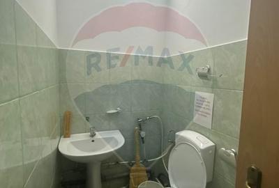 Spațiu comercial, de 77.620002746582 mp, în Ultracentral - 19