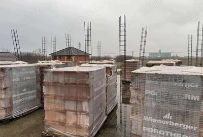 Casă în Cărpiniș - 2