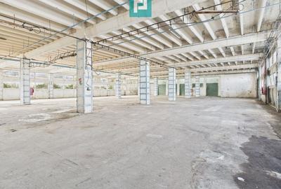 Centru Logistic – Platformă Industrială Oradea - 26