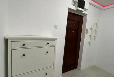 AP. 3 CAMERE SOS. PANTELIMON, CAT-FRIENDLY, BOILER, MASINA SPALAT VASE - 12