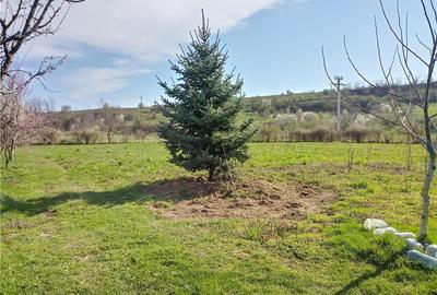 Spațiu comercial, în Blaj - 2