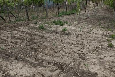 Teren de 2057 mp, în Central - 2