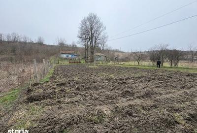 Teren de 2038 mp, în Ghercești - 6