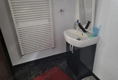 Vila de vanzare in Costesti Valsan Musatesti Arges - 16