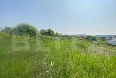 Teren intravilan 900 mp Zona lini?tita Valea Rusului, - 1