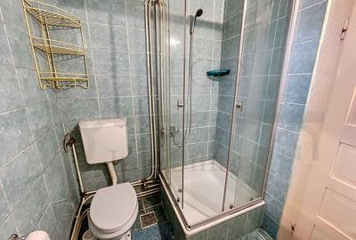 Casă individuală cu 1 camere cu Canalizare în Someșeni - 9