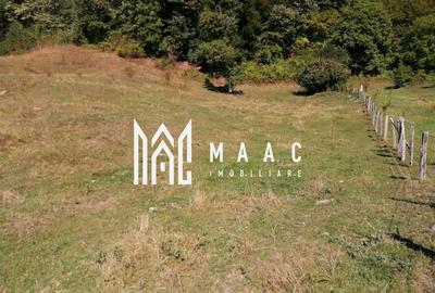 Teren agricol extravilan de 20000 mp, în Stoenești - 3