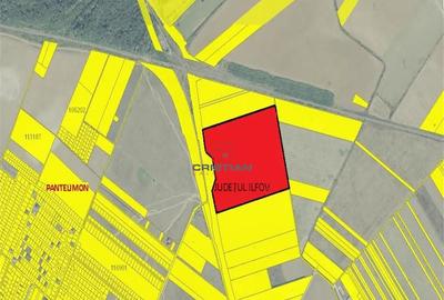 Teren de 146000 mp, în Pantelimon - 1