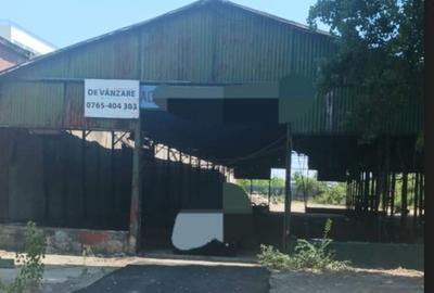 Pallady Ikea Victor Brauner - 1