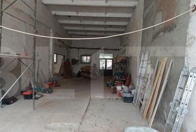 Spatiu industrial, hale in Unirea - 6