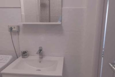 Apartament cu 2 camere decomandat, mobilat în Nufărul - 11
