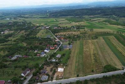 Teren 800mp Coas / Strada Principala - 6