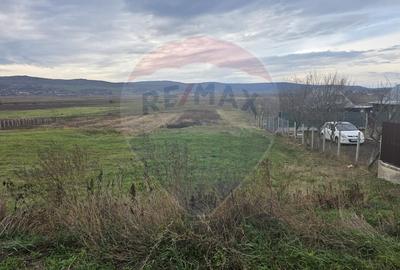 Teren intravilan si extravilan 8,282mp oras Negresti, judetul Vaslui - 7